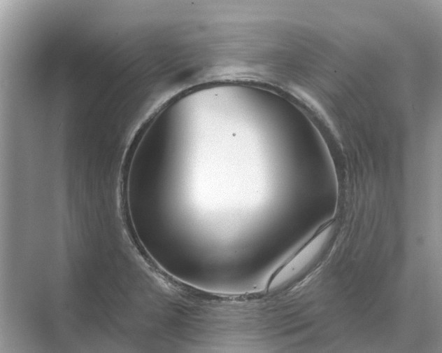 X0000074961277200609152047