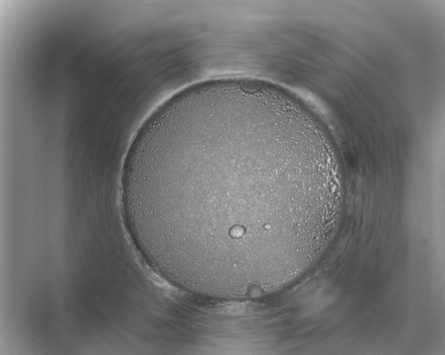 X0000074961279200609152047