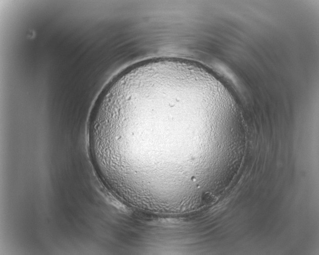 X0000074961280200609152047