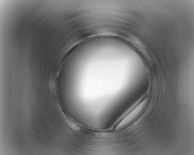 X0000074961281200609152047