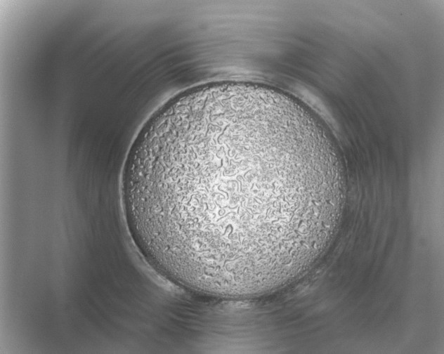 X0000074961283200609152047