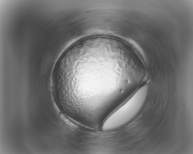 X0000074961287200609152047