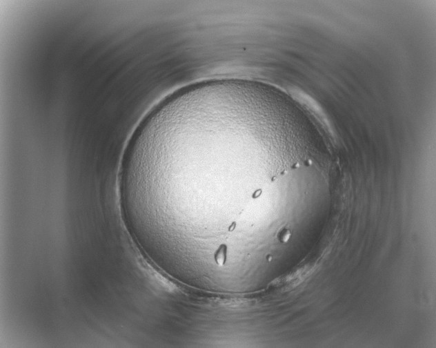 X0000074961288200609152047