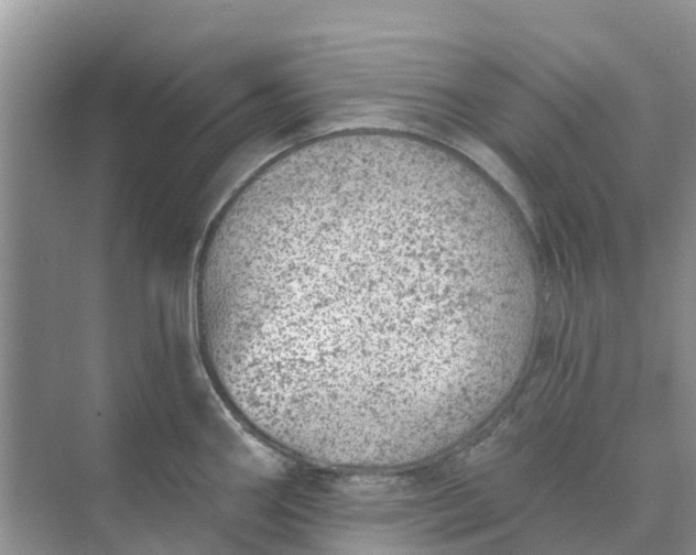 X0000074961290200609152047