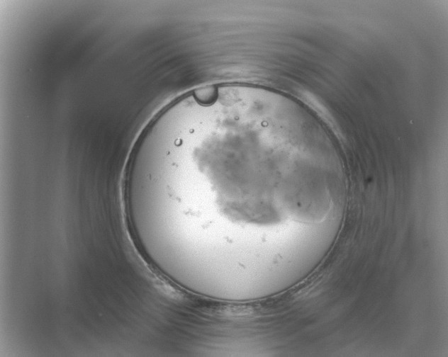 X0000074961291200609152047