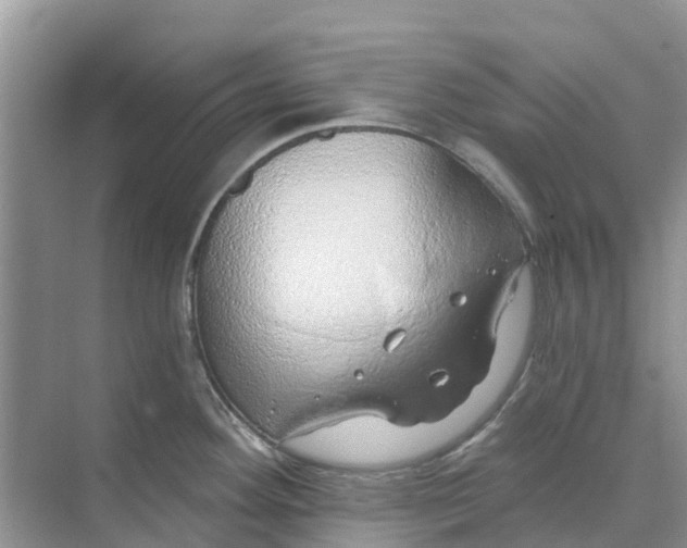 X0000074961292200609152047