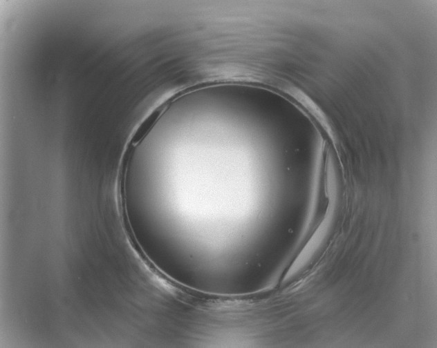 X0000074961293200609152047