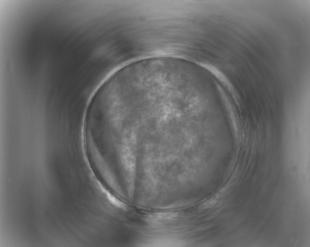 X0000074961294200609152047