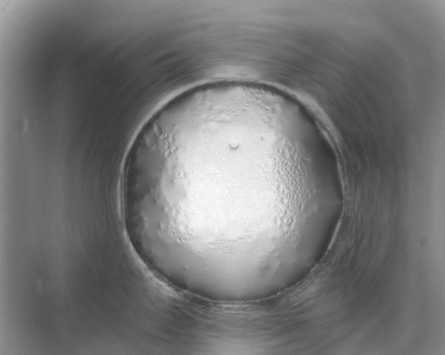 X0000074961295200609152047