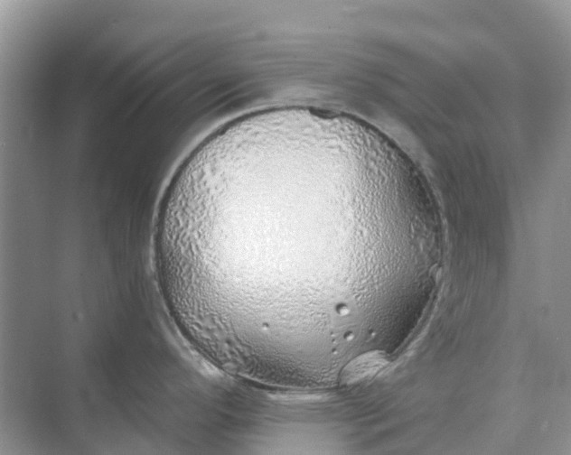 X0000074961296200609152047