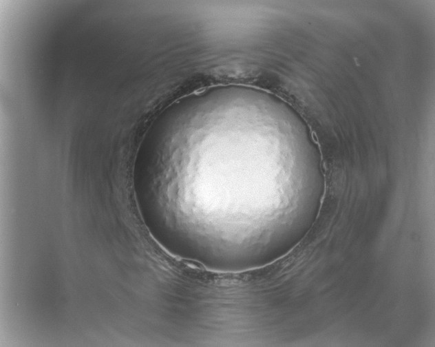 X0000074961297200609152046