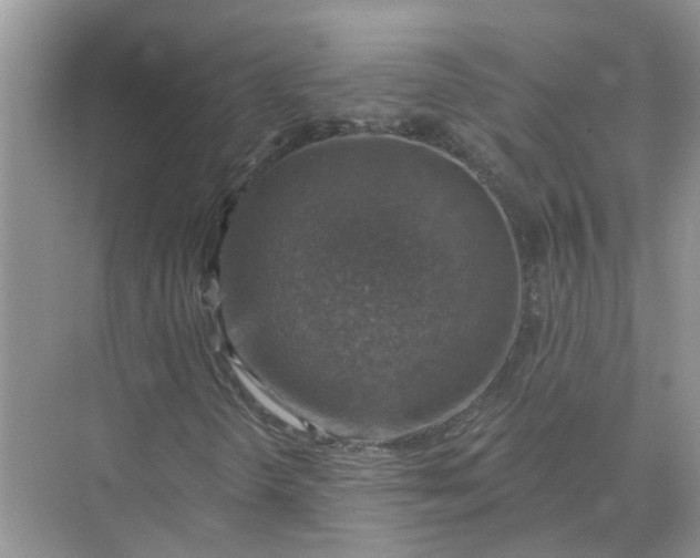 X0000074961298200609152046