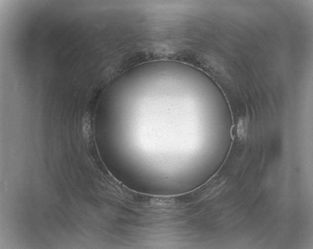 X0000074961299200609152046