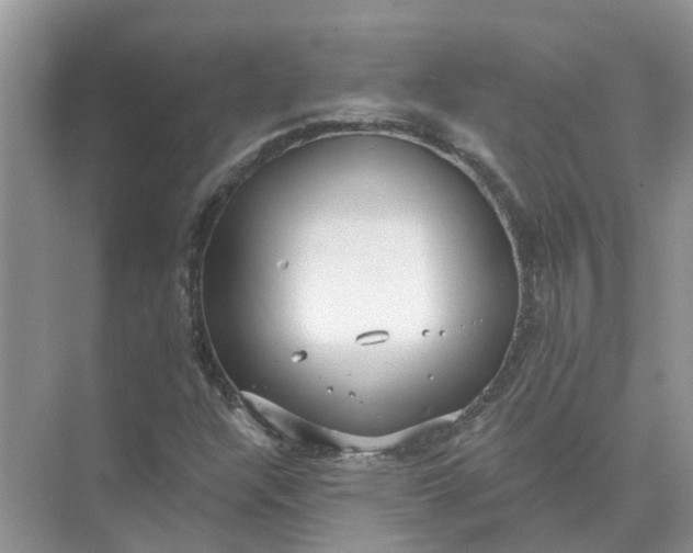 X0000074961304200609152046