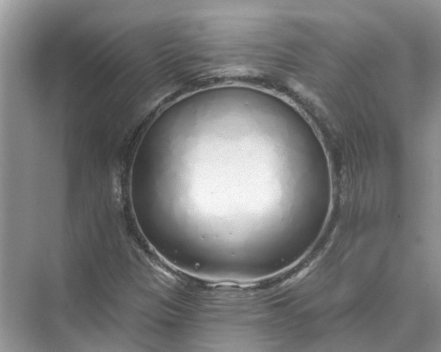 X0000074961305200609152046