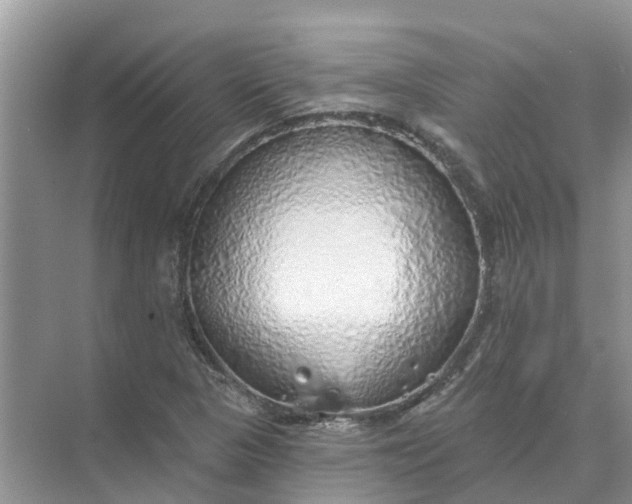 X0000074961313200609152046