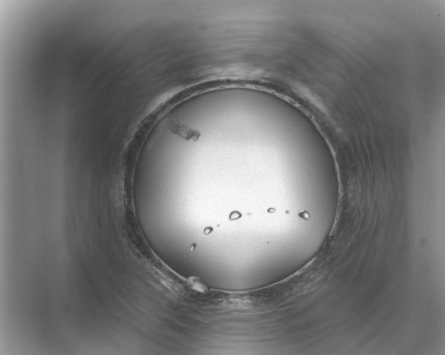 X0000074961315200609152046