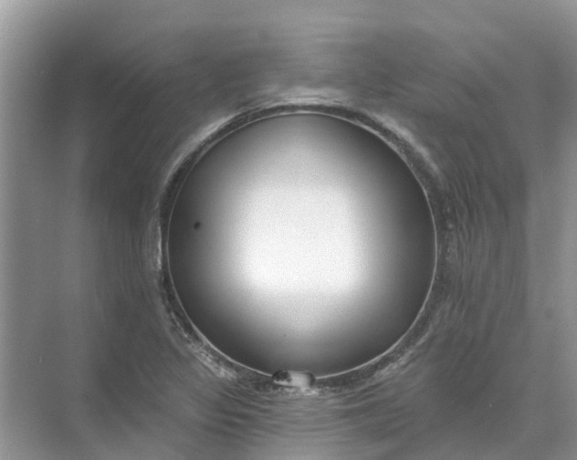 X0000074961317200609152046