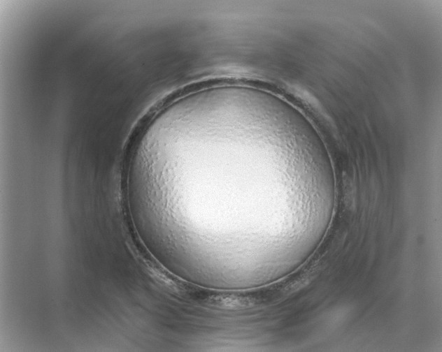 X0000074961318200609152046