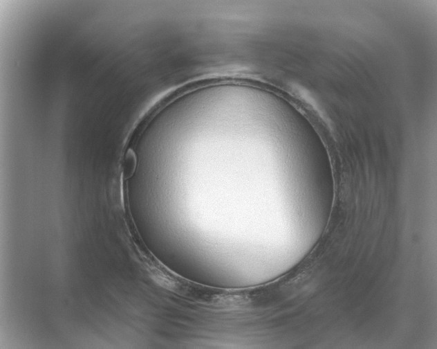 X0000074961320200609152046