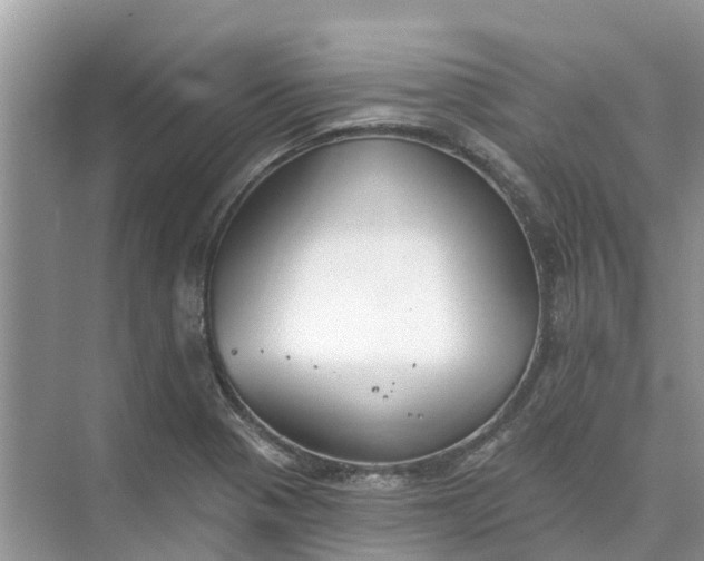 X0000074961321200609152046