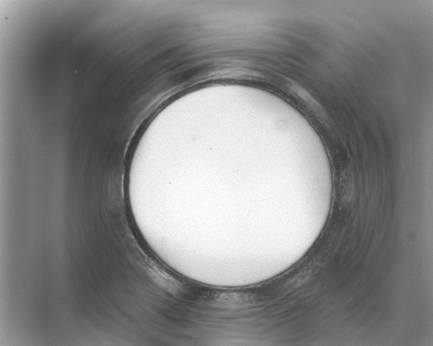 X0000074961322200609152046