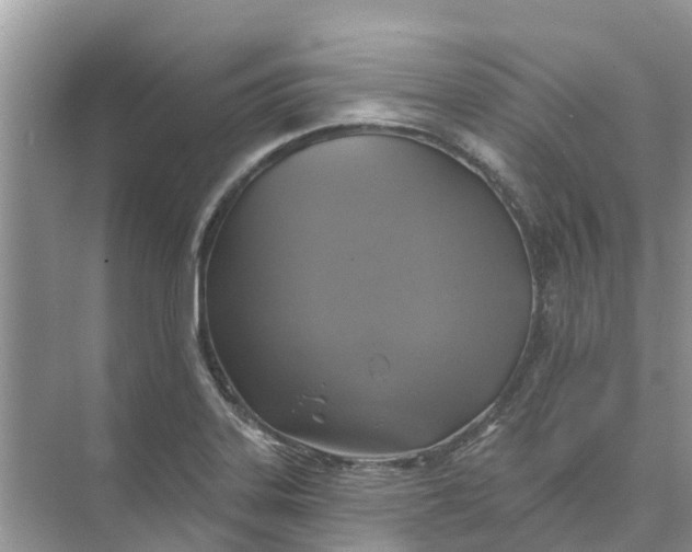 X0000074961323200609152046