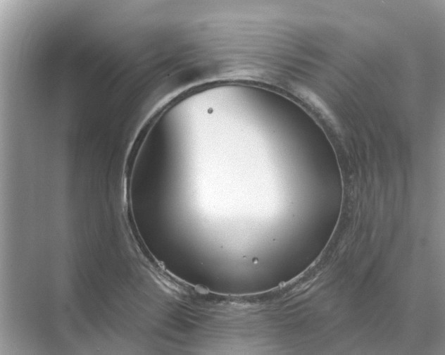 X0000074961324200609152046