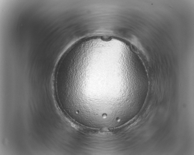 X0000074961325200609152046