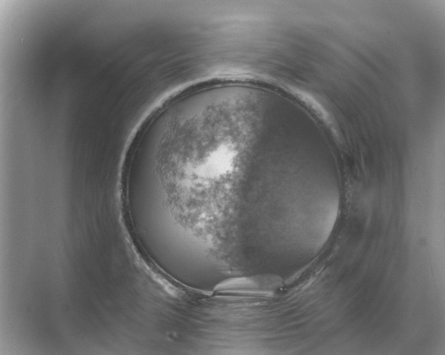 X0000074961327200609152046