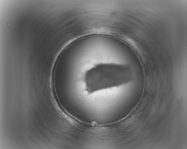 X0000074961331200609152046