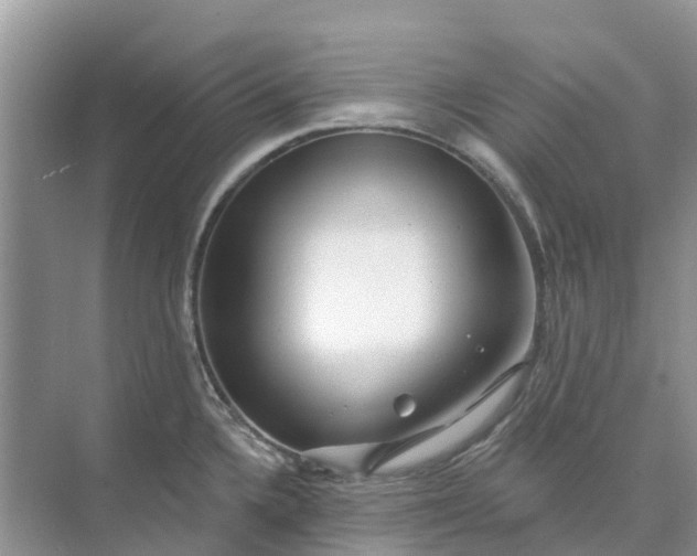 X0000074961336200609152046