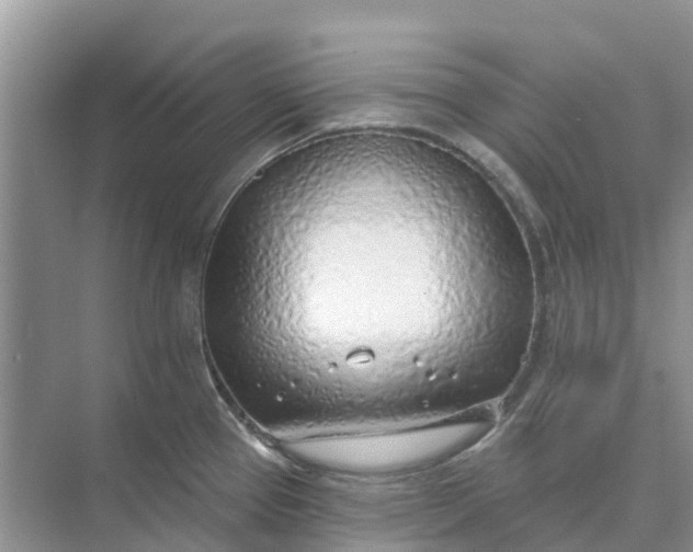 X0000074961337200609152046