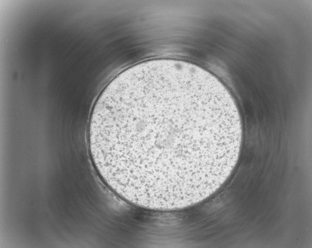 X0000074961338200609152047