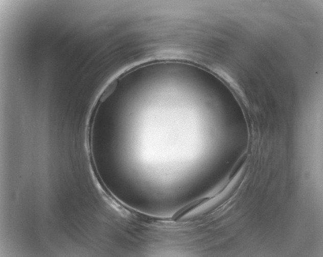 X0000074961342200609152047