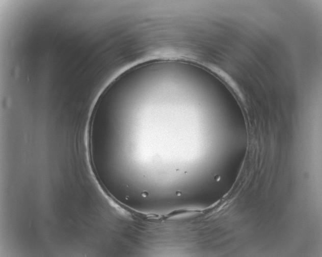 X0000074961343200609152047