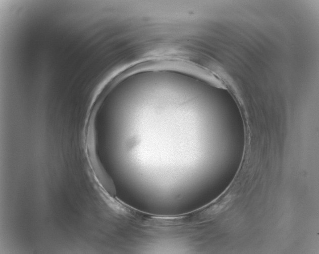 X0000074961344200609152047