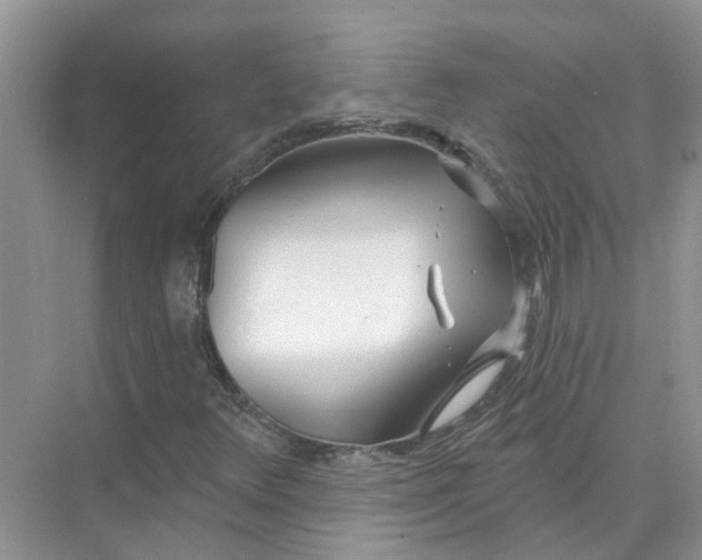 X0000074961348200609152046