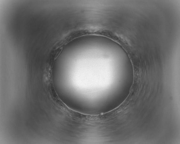 X0000074961349200609152046