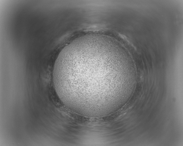 X0000074961350200609152046