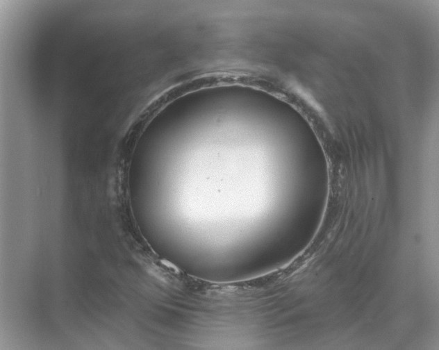 X0000074961352200609152046