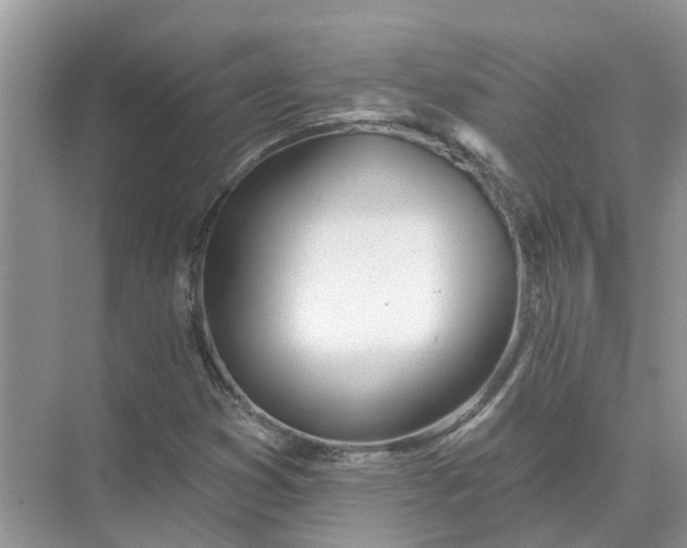 X0000074961353200609152046