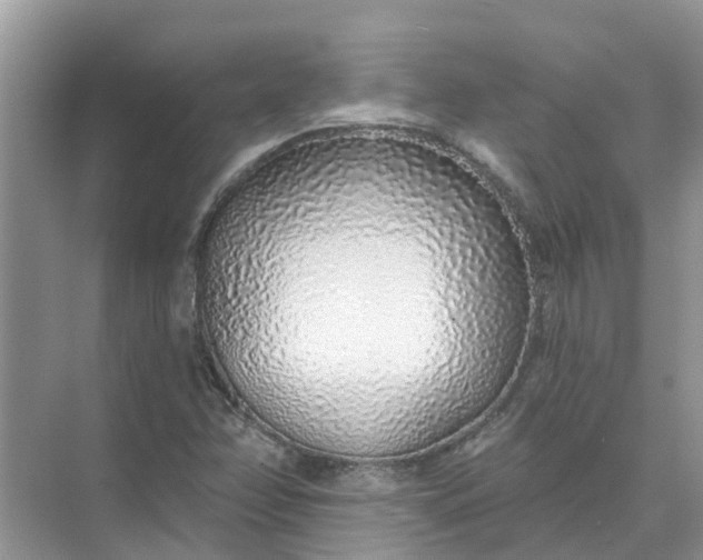 X0000074961358200609152046