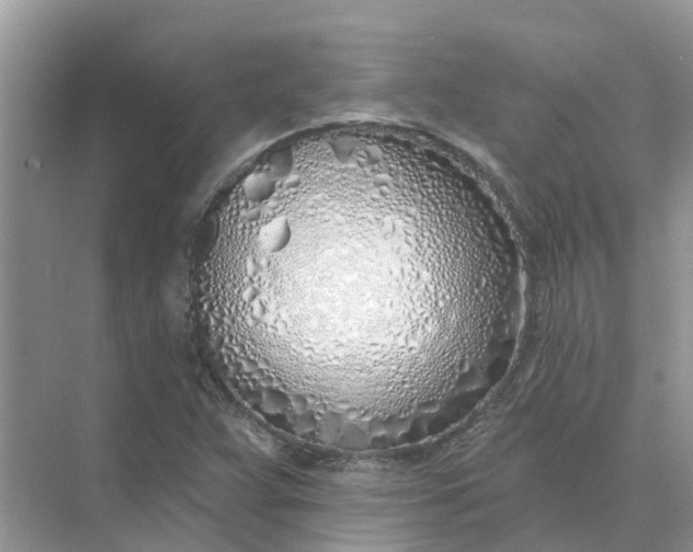 X0000074961359200609152046