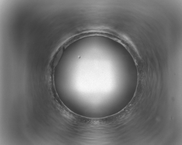 X0000074961360200609152046