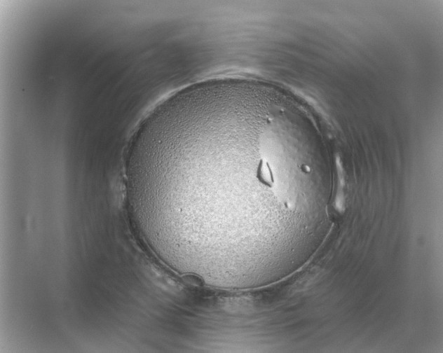 X0000074961363200609152045