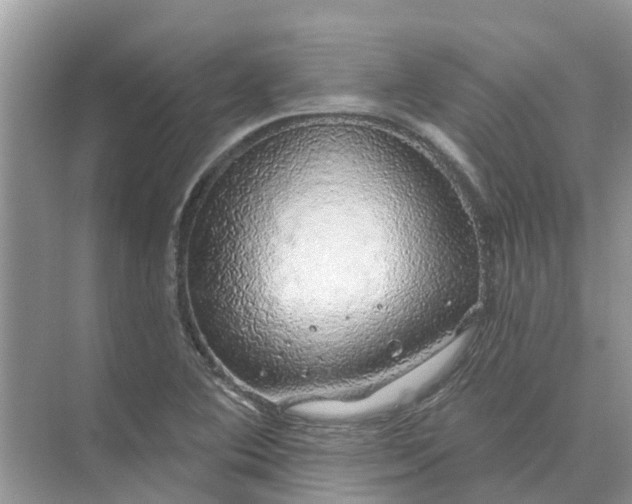 X0000074961364200609152045