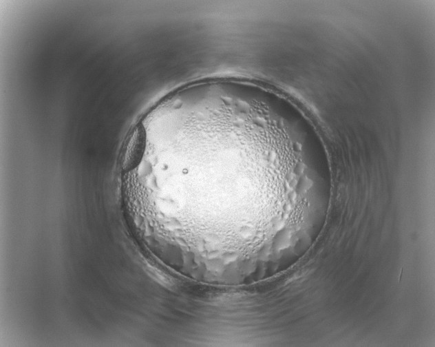 X0000074961367200609152045