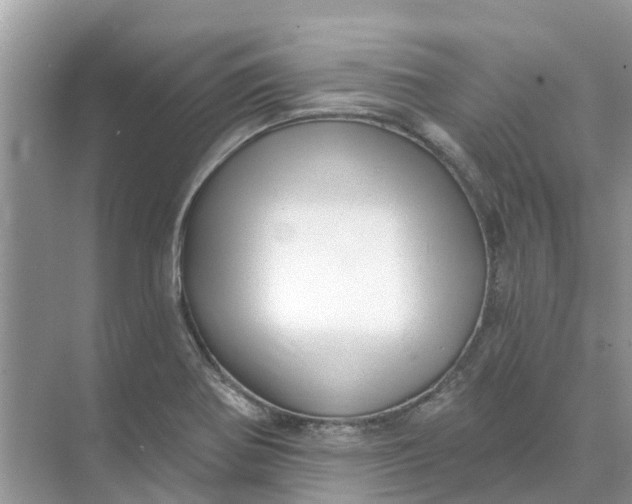 X0000074961370200609152045