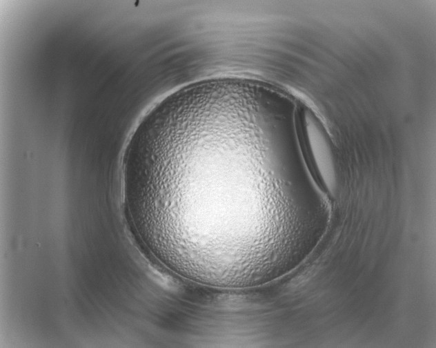 X0000074961371200609152045